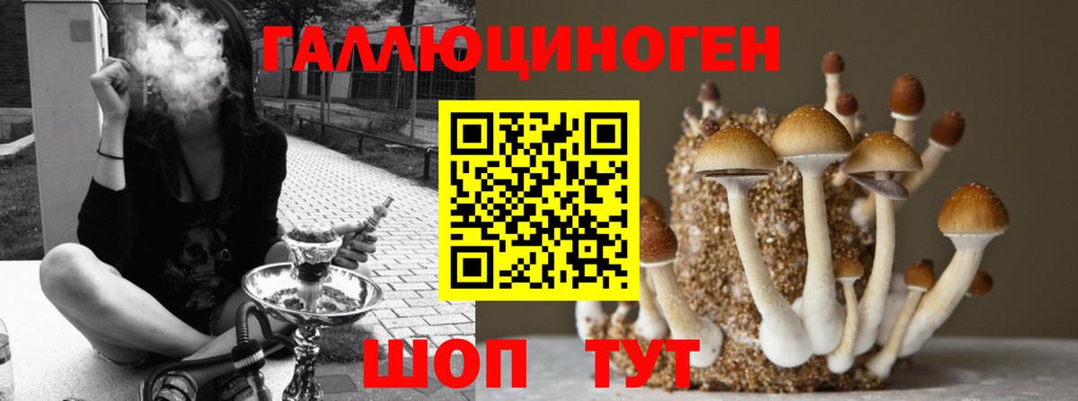 Шебекино  Псилоцибиновые грибы Psilocybe  Псилоцибиновые грибы Cubensis  Вход с VPN 